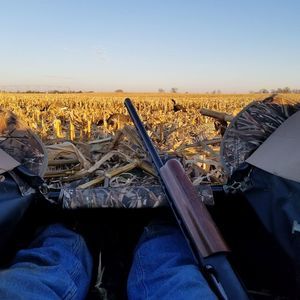 Meet your Posher, Mike